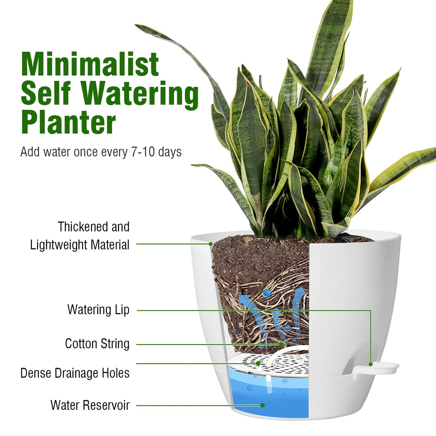 WSMKSZ 10 inch Self Watering Pots, 2 Pack Plastic Planters with Mesh Drainage Holes for Garden Plants and Flower, Plants Pots with Deep Reservoir for Indoor Outdoor Plants, White