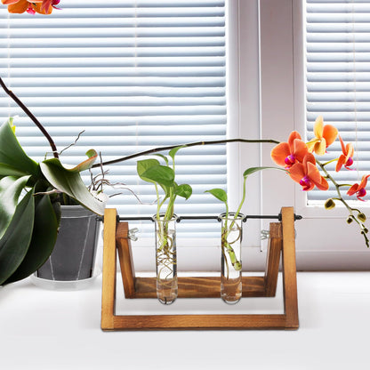 Artibetter 5pcs Glass Plant Propagation Tubes 2.5x3x11cm Test Tube Hydroponic Flower Vase for Indoor Plant Propagation and Terrarium Display