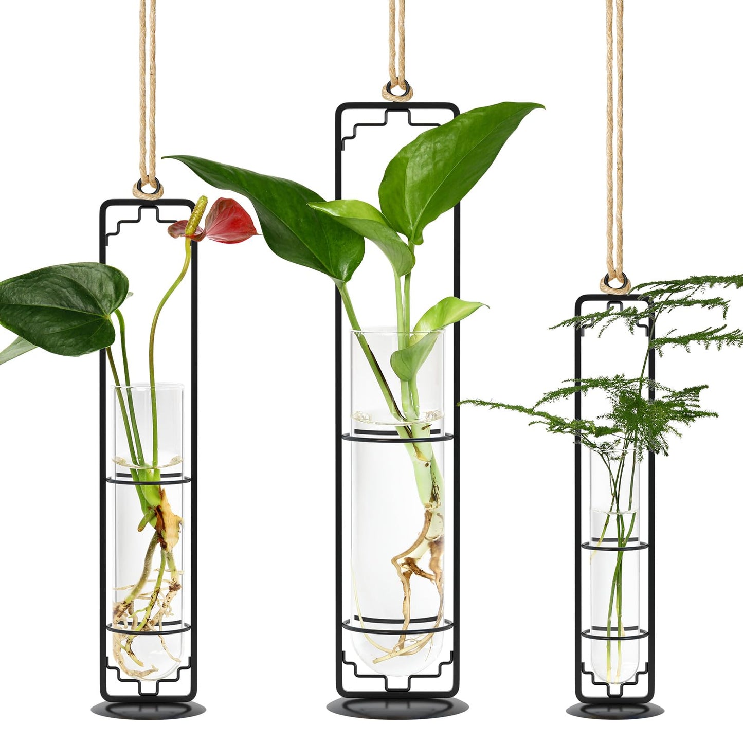 MIPON Metal Hanging Plant Propagation Station,3 Size Glass Test Tube Hydroponic Planter,Boho Wall Hanging Plant Cuttings Holder,Indoor Water Plant Terrarium Tubes for Home Office Window Decor-Black