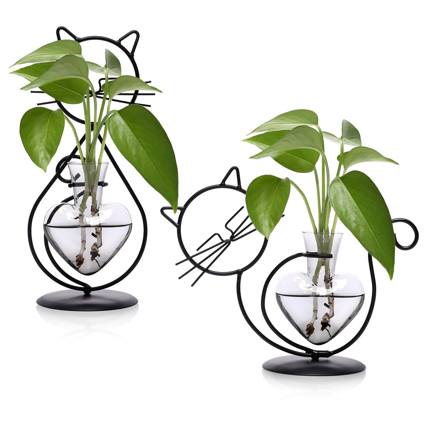 Plant Terrarium Plants Propagation Station Cat Lover Gifts for Women Home Office Decor Cat Desk Accessories
