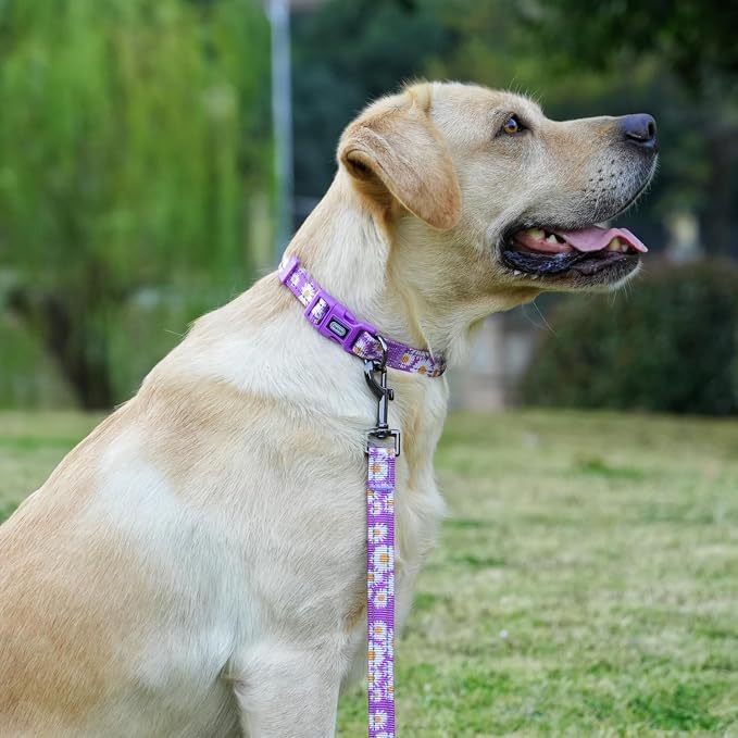 Dog Collar Leash Set, Floral Pattern, with Safety Reflective Strips, 5 ft Matching Leash, Neoprene Padded Handle, Adjustable 4 Sizes for Small Medium Large Dogs.(S, Purple Daisy)