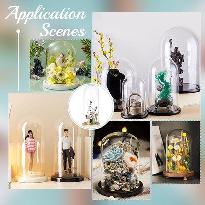 BENECREAT 4.6x12inch Eternal Transparent Flower Glass Cover, Glass Display Dome Cloche Jar with Blanched Almond Solid Wood Base for DIY Flower Craft