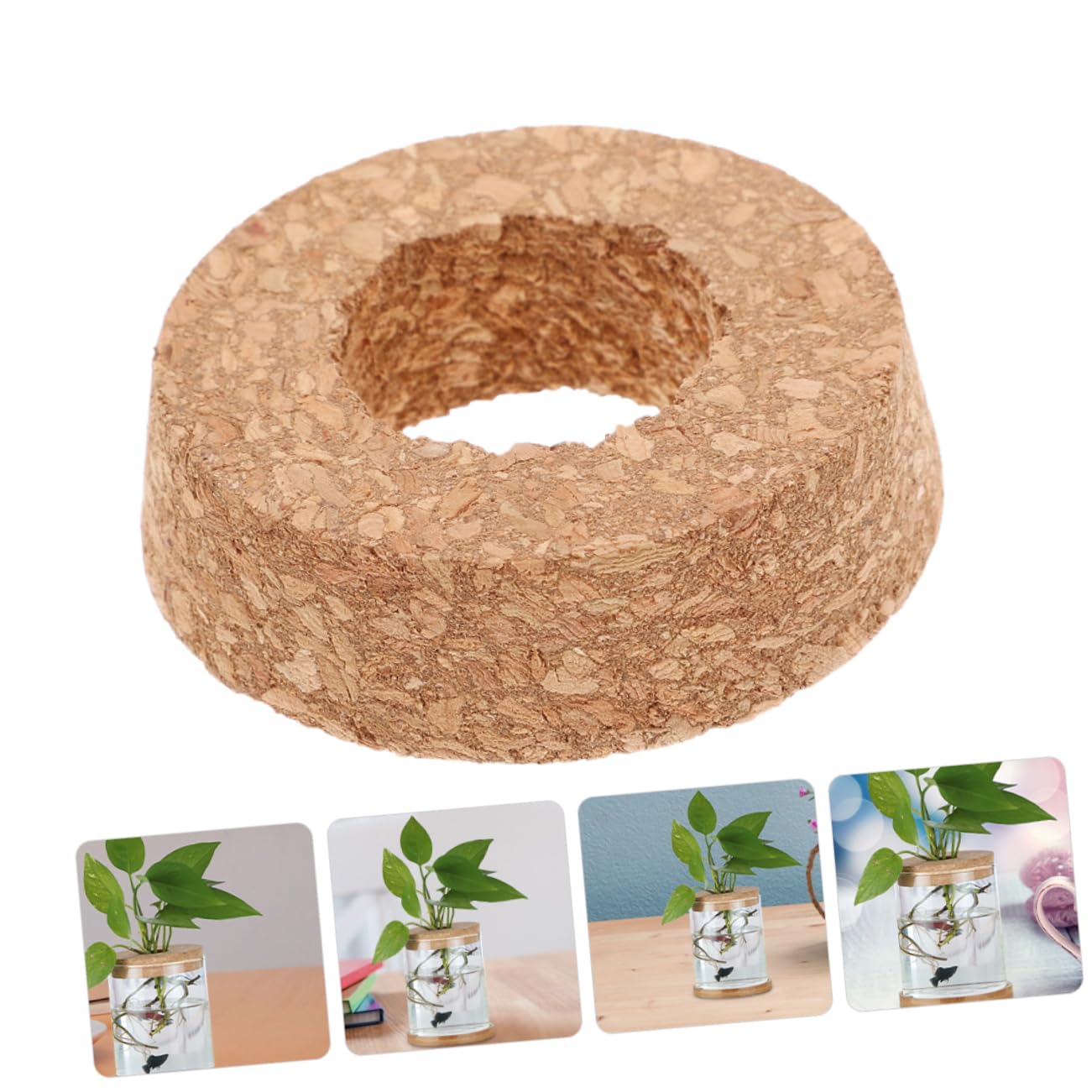 Cabilock 6Pcs Cork Lids for Hydroponic Vases Sustainable Transparent Glass Stoppers for Terrarium and Plant Propagation for Indoor Home Decor Elegant Micro Landscape Display