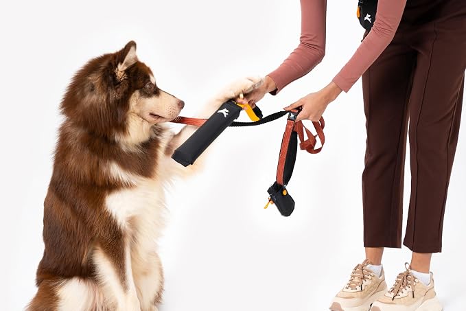 OllyDog Tugger | Dog Tug Toy for Tug of War & Training | Durable Bite Pillow | Eco-Friendly Recycled | Handle | Medium Large Dogs (Raven)