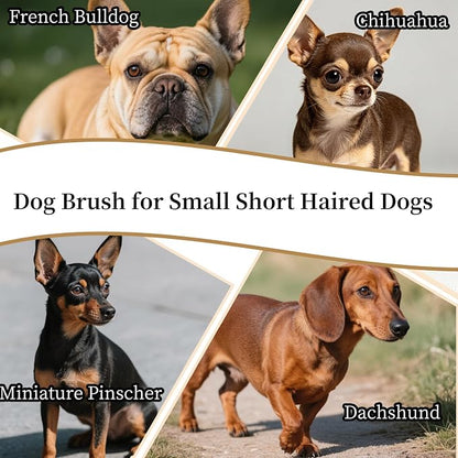 Soft Boar Bristle Dog Brush for Short Haired Dogs - Made of Bamboo, Gentle Deshedding & Grooming Tool, Ideal Dog Hair Brush for Pets, Dog Brushes for Grooming and Shedding （Small）