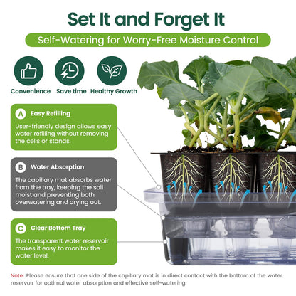 SOLIGT Self Watering Seed Starter Trays with Humidity Domes, Extra Thick Plastic Seed Starter kit for Seed Starting, Plant Germination & Seedling Growing, 3 Pack 72 Cells