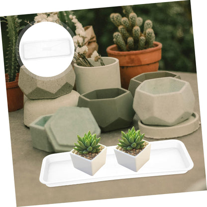 BESPORTBLE 10pcs Plant Drainage Trays Flower Pot Saucers Water Catching Trays for Indoor Plants