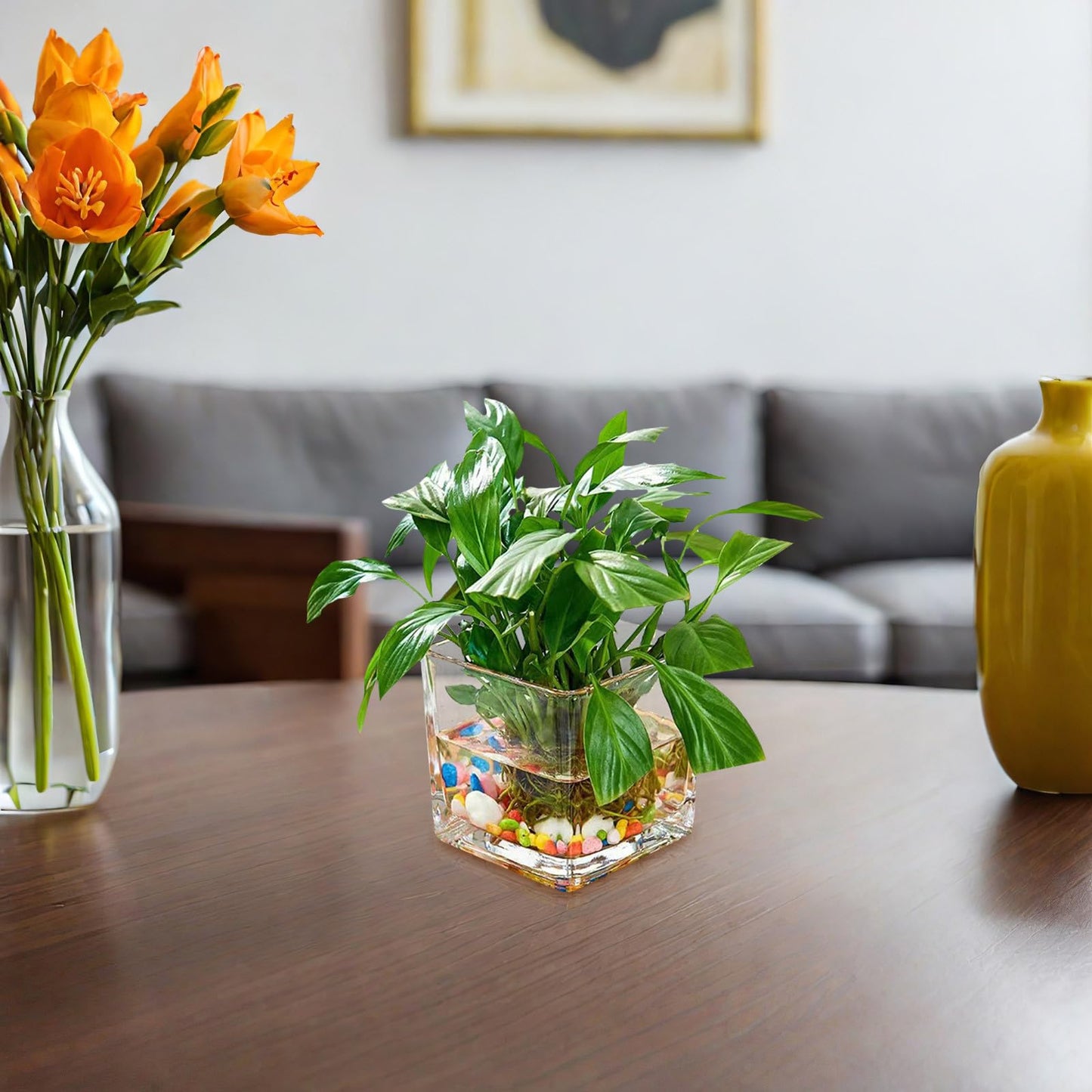 INOOMP Square Glass Hydroponic Vase 10x10cm Thick Cube Flower Vase for Home Desk Decor, Glass Plant Terrarium Bottle for Modern Indoor Gardening