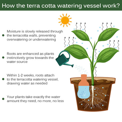 Terracotta Ollas Watering Pots, 2 PCS Slow Release Plant Watering Globes Terracotta Self Watering Planter Insert, Holds 15 Oz Water Automatic Watering System for Potted Plants While On Vacation