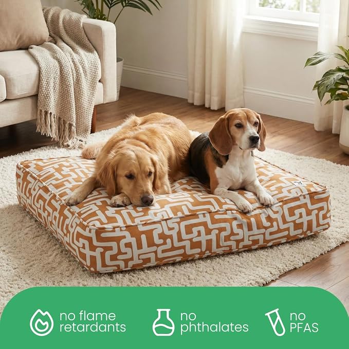 Molly Mutt Hypnotize Dog Bed Duvet Cover, GOTS-Certified 100% Organic Cotton Canvas Cover for Dog, Puppy, or Cat Bed, Durable, Washable, and Free of Harmful Chemicals, Small, 22"x27"x5"