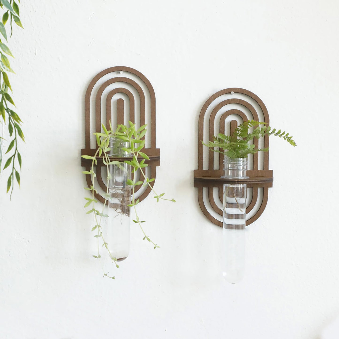 2 Pack Plant Propagation Station Wall Hanging Wooden Shelf Plant Terrarium Rainbow Design for Hydroponics Home Office Decor Test Tube Propagate Air Plant Cutting Holder