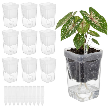 KKONHII 10 Pack 2.52" Small Self Watering Pots for Indoor Plants, Clear Plastic Planters with 10 Plant Label and Water Level Indicator Drainage Hole for Succulents, Propagation, African Violet