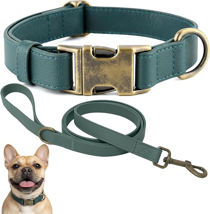 Dog Collar and Leash Set,Leather Silicone Waterproof Odor-Proof Dog Collar and Leash for Small Dogs, Soft Flexible Dog Collars, Durable Thick Adjustable Pet Collar (Green, Small (11-15.5" Neck))
