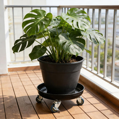 YUFDA 2 Pack 12.2 Inch Metal Plant Caddy With Lockable Wheels,Plant Stand Dolly for Heavy Planter,Wheeled Planter Saucer Tray,Rolling plant stand,Heavy-Duty Plant Caddy for Indoor and Outdoor(Black)