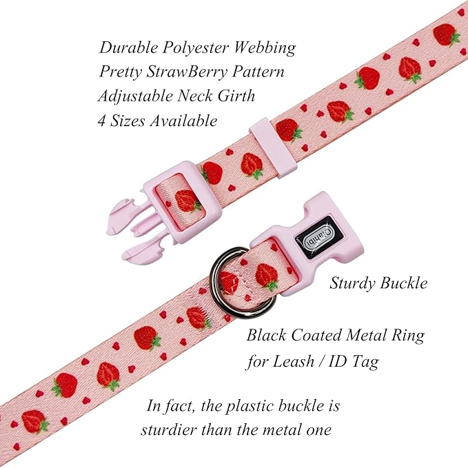 Dog Collar Leash Set, Fruit Pattern, Polyester Material, Adjustable Collar and 5ft Matching Leash, for Large Dogs.(L, Strawberry)