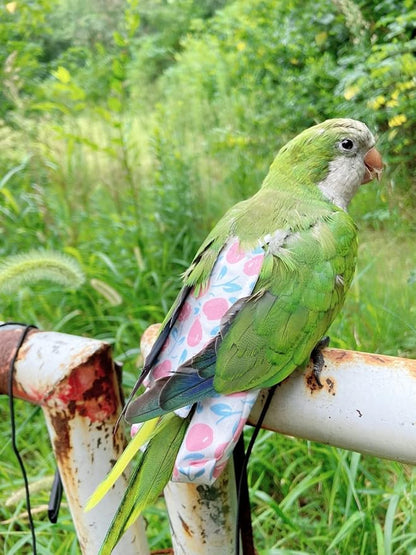 Bird Diaper Harness Flight Suit Clothes, Parrot Flight Suit with Leash, Bird Flying Clothes with Rope and Handle for Outdoor Activities Training (Pink with Leash,Medium)