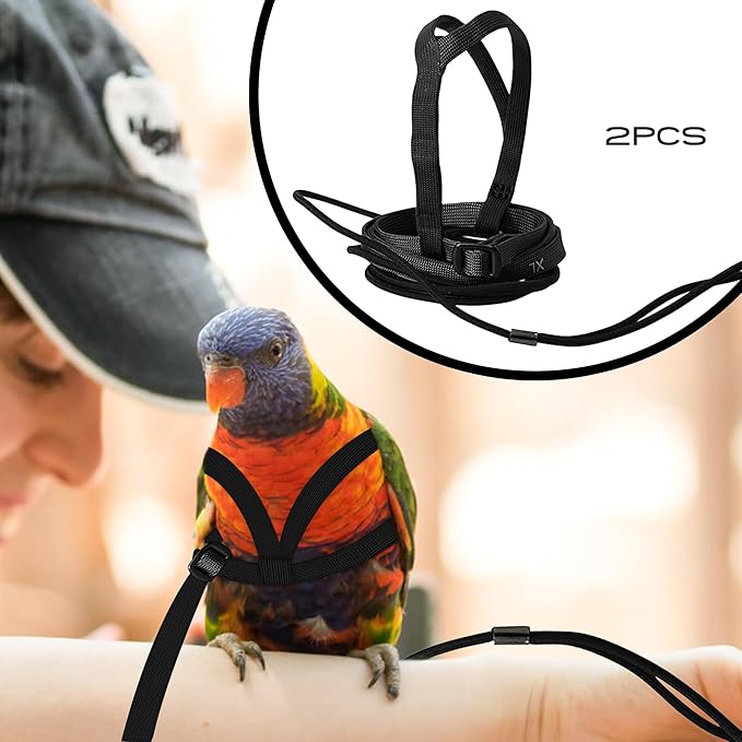 2 pcs Pet Parrot Bird Harness and Leash, Adjustable Training Design Anti-Bite, Outdoor Flying Training Rope Kit for Bird Parrots Fits Birds Chest Between46-76cm /18.11-29.92inch - XL (Black)