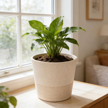 Ekirlin 7 Inch Indoor Plant Pot, Natural Resin Gravel Textures Planters, Modern Heavy Planter with Drainage Hole, Removable Rubber Stopper and Non-Slip Soft Pad, Decorative Pot for Home/Outdoor/Garden