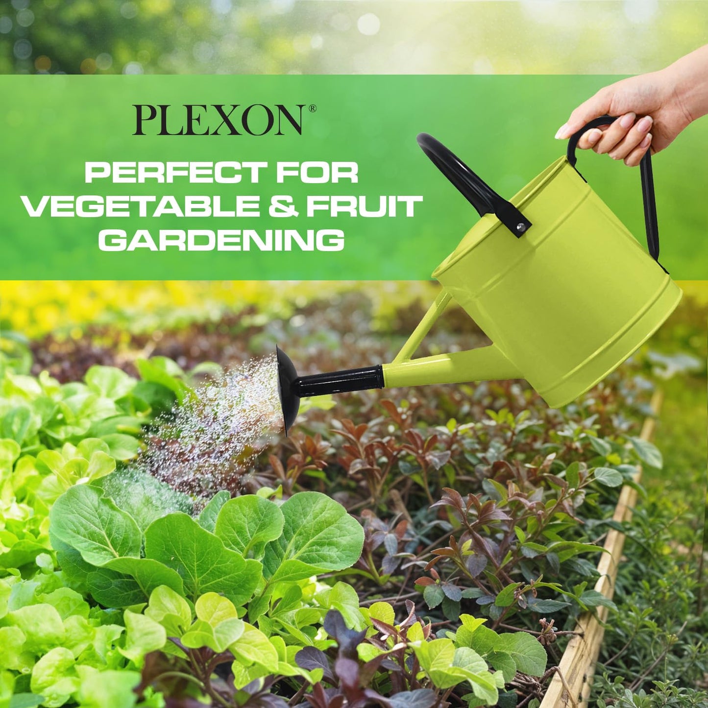 Plexon Metal Watering Can Outdoor 1 Gallon, Flower Plant Gardening Garden Large Green Watering Can Pot, Galvanized Steel Handles - Removable Spray Spout, Green