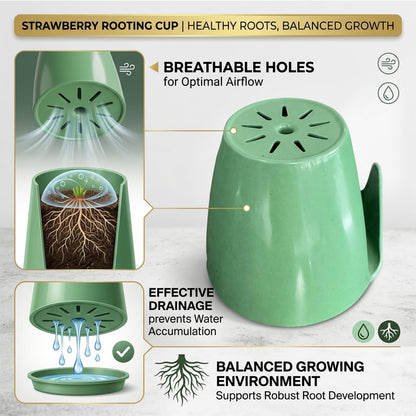 Strawberry Rooting Cup Kit with 20 Forks, Strawberry Propagation Cups, Space-Saving Hanging Design, Plastic Planter for Garden, Greenhouse, and Balcony (Large,green20pc)
