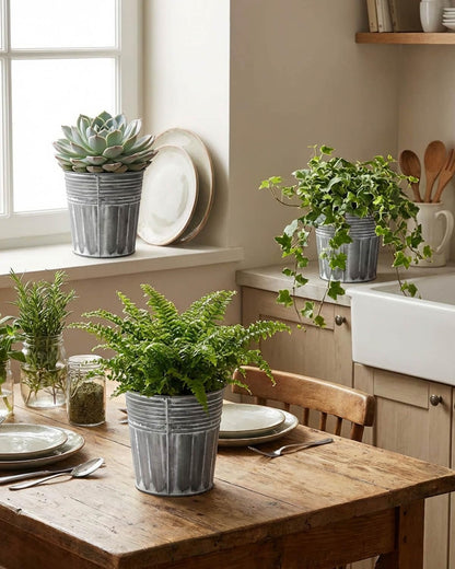 vensovo 5 Inch Galvanized Bucket Planter - 6 Pack Metal Flower Pots with Drainage Holes & Plugs, Rustic Silver Tin Pots for Indoor Herbs, Outdoor Succulents, Farmhouse Home Garden Decor