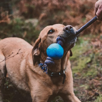 Beco Ball with Rope Small Dog Toy (Green), 5060189751334