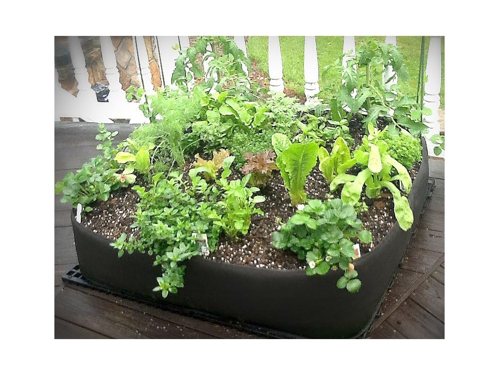 4 ft X 4 ft Victory 8 EZ-GRO Raised Garden Bed Big Square Grow Your OWN No Assembly
