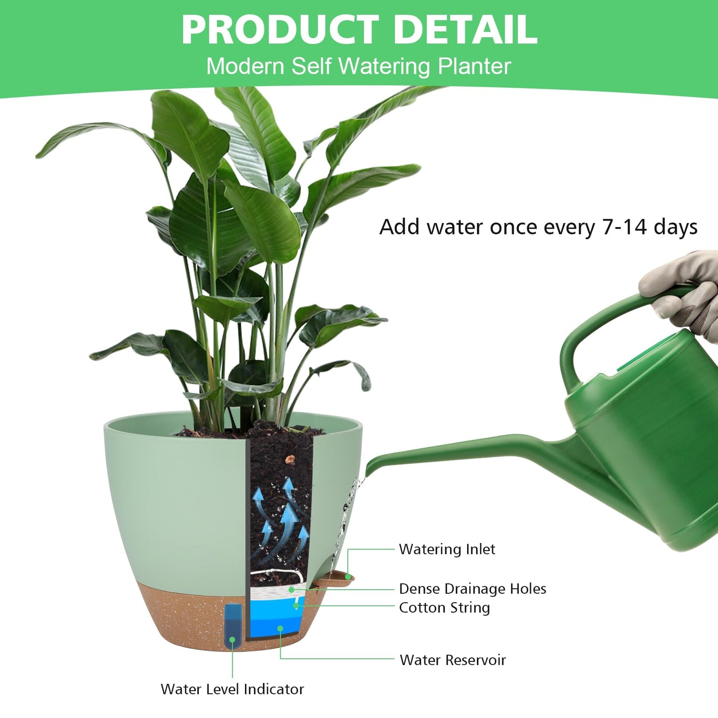 12" 10" 9" 8" Self Watering Pots with Water Level Indicator, Large Plastic Planters Set with Mesh Drainage Hole and Removable Saucer Reservoir, Big Flower Pot for Indoor Outdoor Plants (Green)