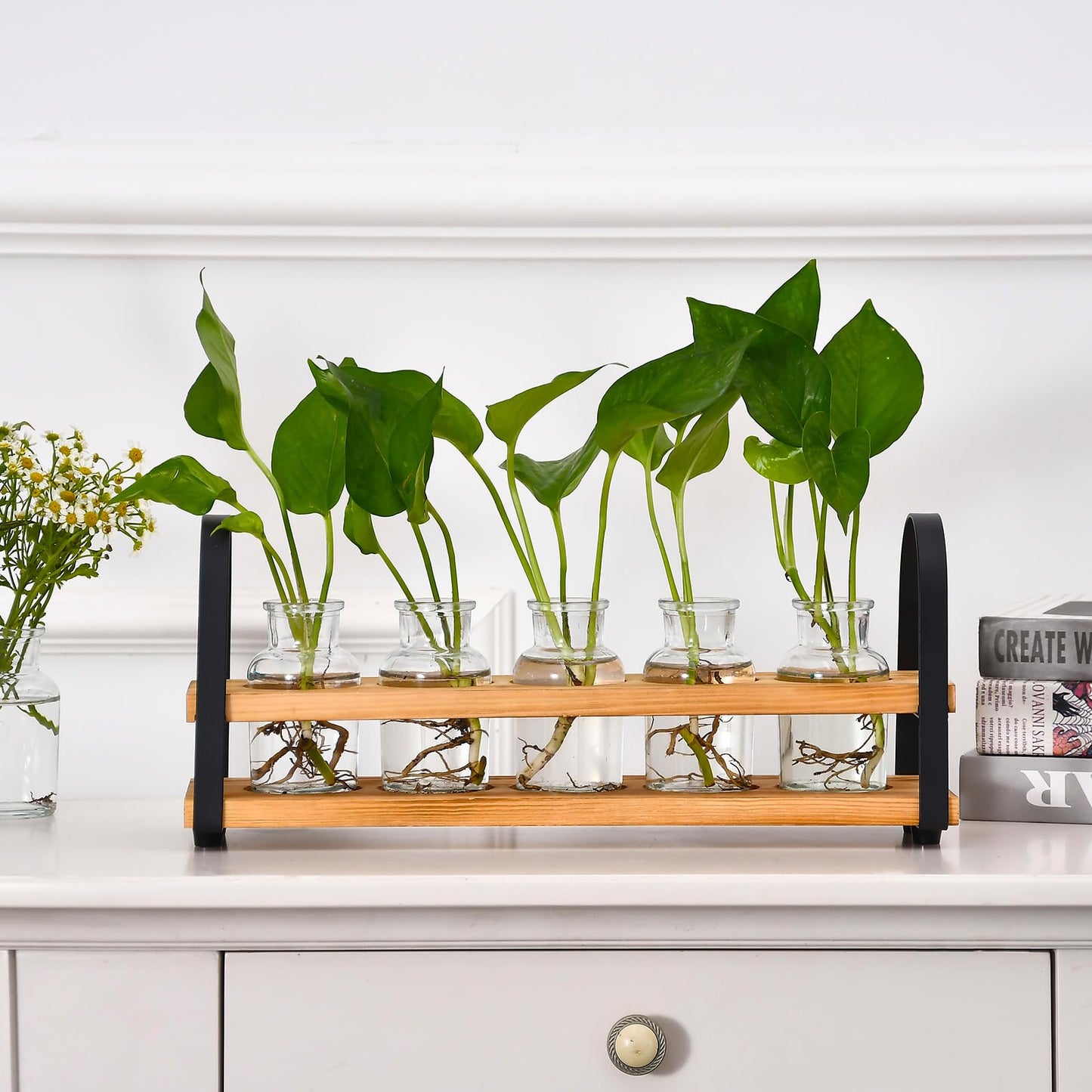 VIKEYHOME Plant Propagation Station with Wood Stand, Desktop Terrarium for Hydroponic, Flower Vase for Home, Kitchen, Office Decor, Plants Lover Gifts
