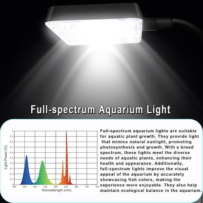 3 Gallon 12.6" L Fish Nano Glass Aquarium, with Separator Plate for Betta, Multi-Functional Square Fish Tank with Filter, LED Light, White 4mm Glass