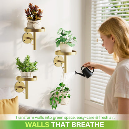 DELLAN Wall Plant Holder, 3 Pack Metal Wall Planters Stand Floating Shelves for Indoor Plants, Window Sill Plant Decor for Bedroom, Bathroom, Living Room, Home, Office, All Gold