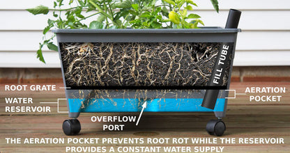 Emsco Group City Picker Raised Bed Grow Box – Self Watering and Improved Aeration – Mobile Unit with Casters - Slate