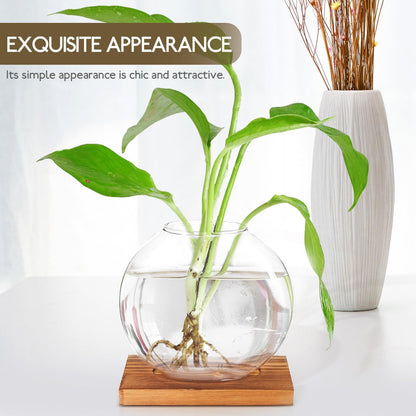 LIFKOME Glass Hydroponic Planter Bottle with Retro Wooden Base, Desktop Glass Plant Vase for Home and Office Décor, Flower Hydroponics Terrarium for Indoor Gardening