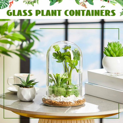 Perthlin 1 Pcs 5.9 x 7.9 Inch Glass Terrarium Clear Terrarium Planter Container Glass Dome Cloche with Airhole and Base for Plant Flower Home Tabletop Display Centerpiece, Plants Not Included