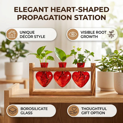 Generic Heart Shaped Propagation Station, 3 Glass Vases Plant Terrarium Kit with Wooden Stand for Hydroponic Plants Home Office Decor Present for Women