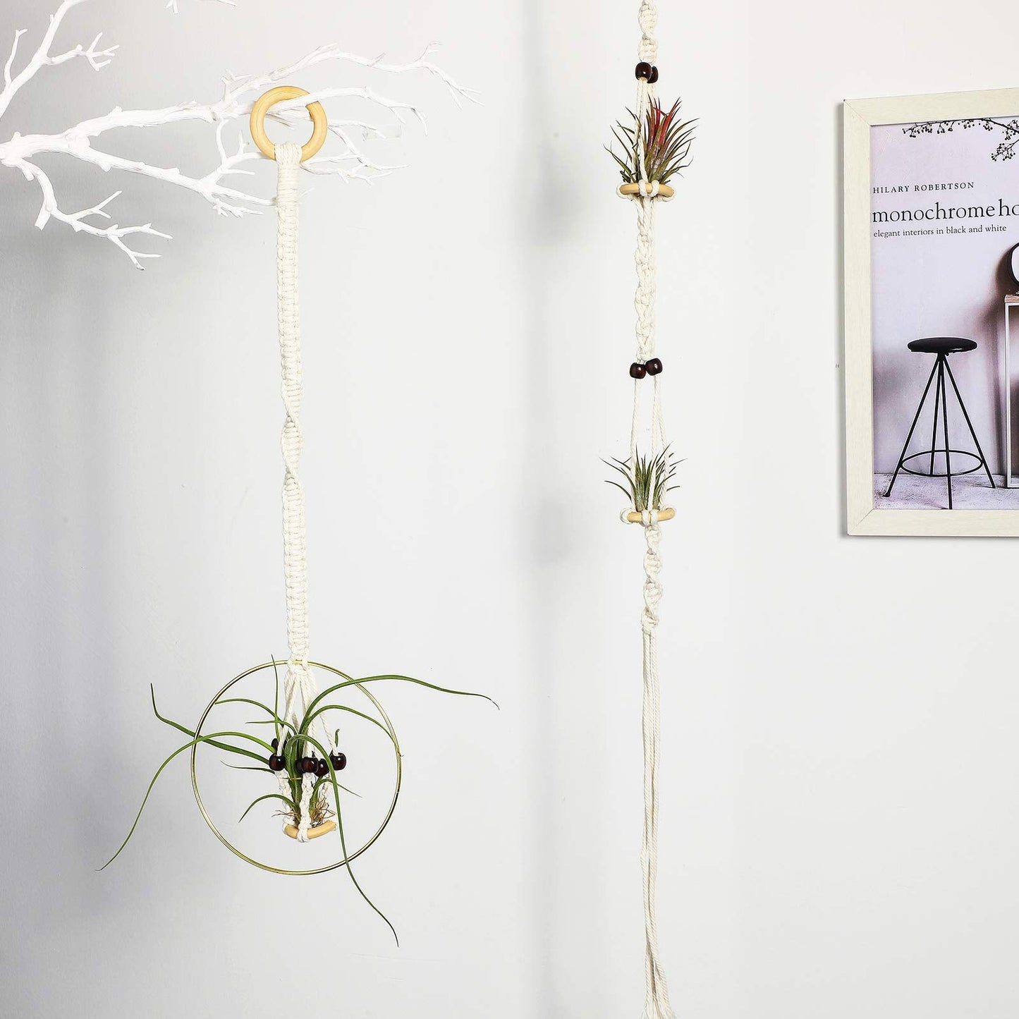Tatuo 4 Pieces Hanging Air Plant Holders Boho Macrame Plant Hanger Fabric Woven Air Fern Display with 4 Pieces Hooks for Home Decoration Gift Idea