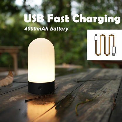 WEILAILUX Battery Operated Shower Lamp Waterproof, Small Portable Cordless Table Lamp Rechargeable, Touch Dimmable Mood Light for Home/Patio/Dining/Outdoor (Wood Grain)