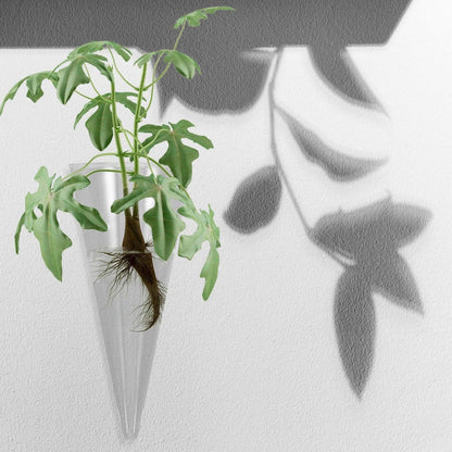 Homoyoyo Clear Glass Cone Vase - Wall-Mounted Terrarium Planter for Stylish Plant Displays for Flower Arrangements and Home Decor Unique Circular Design for Indoor Gardens