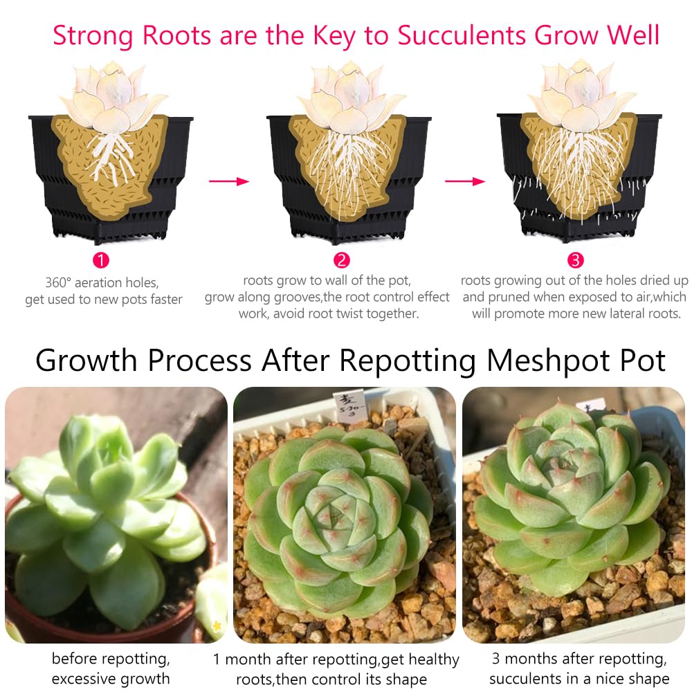Meshpot Succulent Pots, 12Pcs 2.8 Inch Planters with 14 x 9.4 Inch Tray, Plastic Cactus Pot with Drainage, Square Seedlings Pot Match Long Rectangular Tray