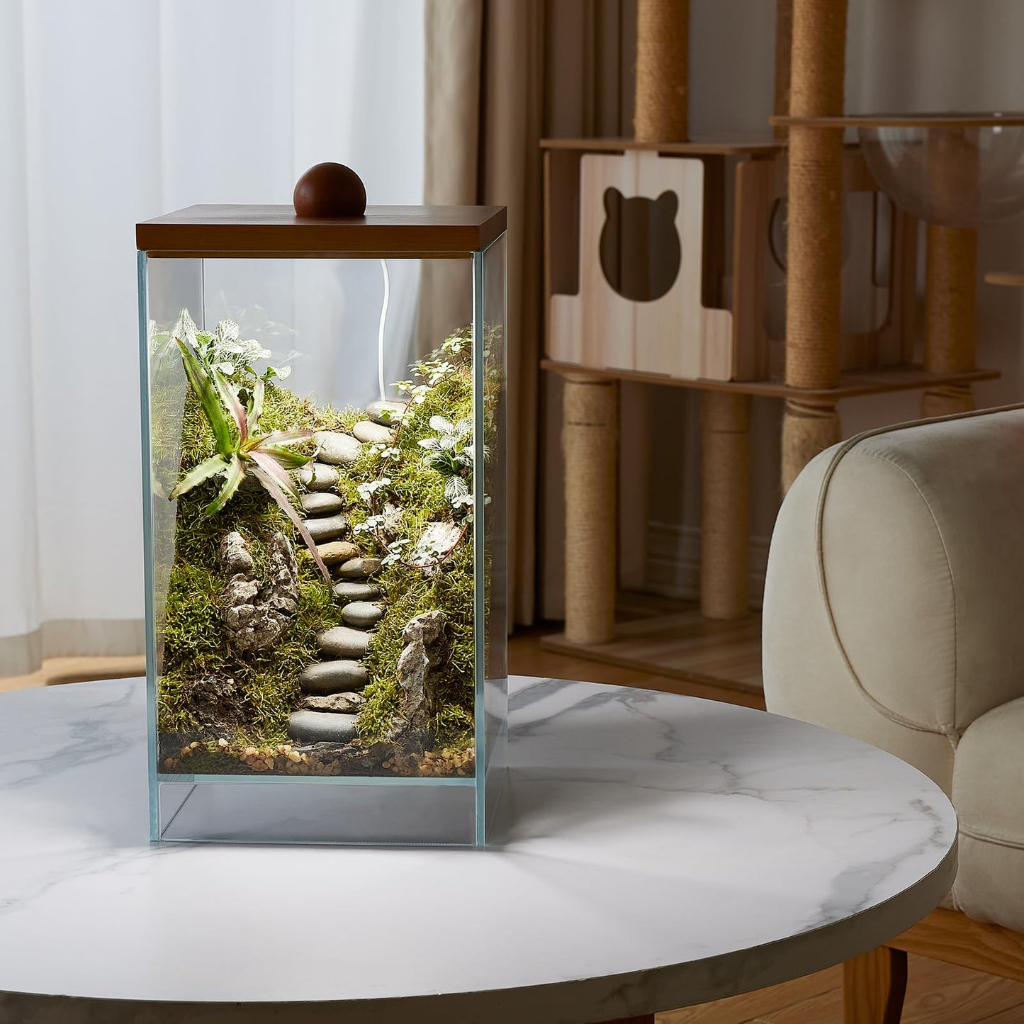 13.7H+7.8W Desktop Glass Plant Terrarium with Light, Large Propagation Station for Succulent, Moss, Miniature Gardening Landscape, Betta Fish Tank