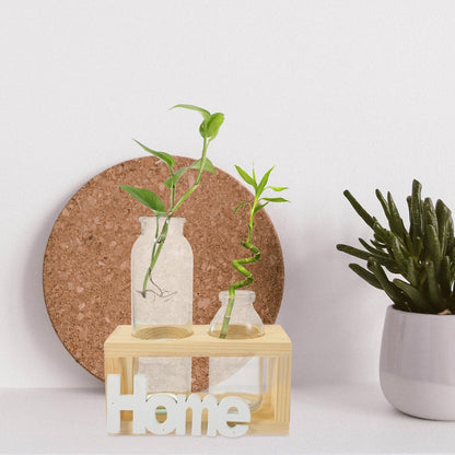 Hemobllo Glass Planter Bulb Vase with Wooden Rack, Nordic Style Hydroponic Flower Terrarium for Desktop Home Decor, Air Plant Holder Set of 2