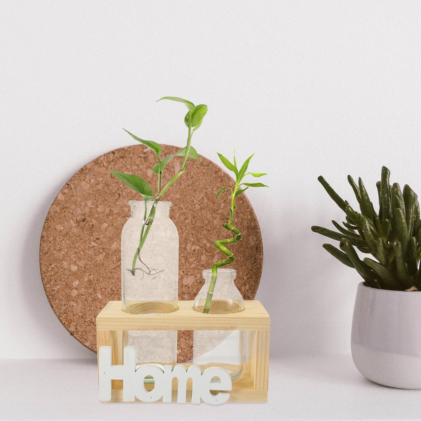 GLEAVI Hydroponic Plant Terrarium Glass Vase Set with Wooden Stand, Indoor Desktop Water Planter for Propagation and Home Décor, 2pcs Glass Vases for Plants