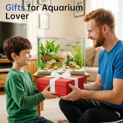 AQQA Automatic Fish Feeder 200ML, Programmable LCD Timer Auto Aquarium Feeder, Moisture-Proof Silent Fish Food Dispenser, Vacation Auto Feeder for Small Tank Betta Fish Turtle