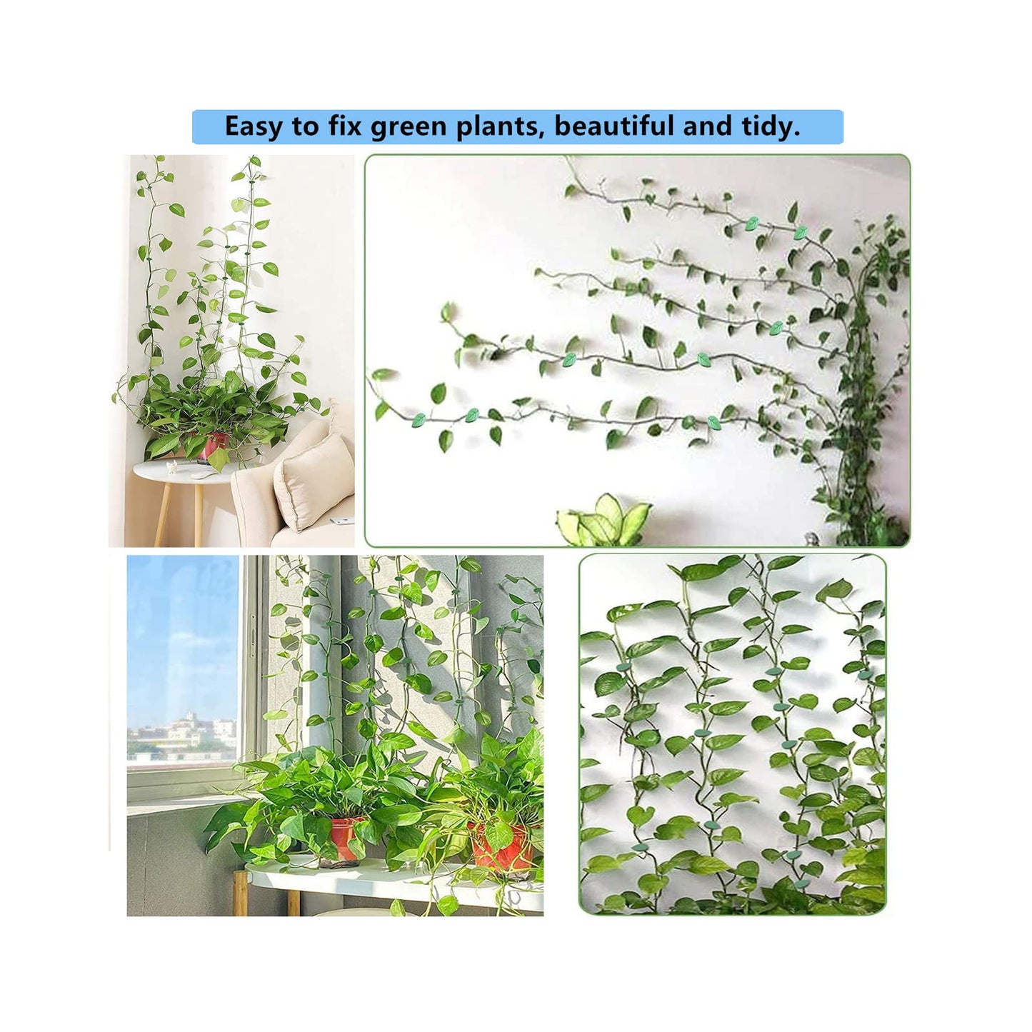 KOCNYDEY 100 Pcs Plant Climbing Wall Fixture Clips Acrylic Self-Adhesive Sticker Plant Fixer Vine Traction Invisible Holder Climbing Plant Green Leaf Vines Hook Fixing Clip Indoor Outdoor Decoration