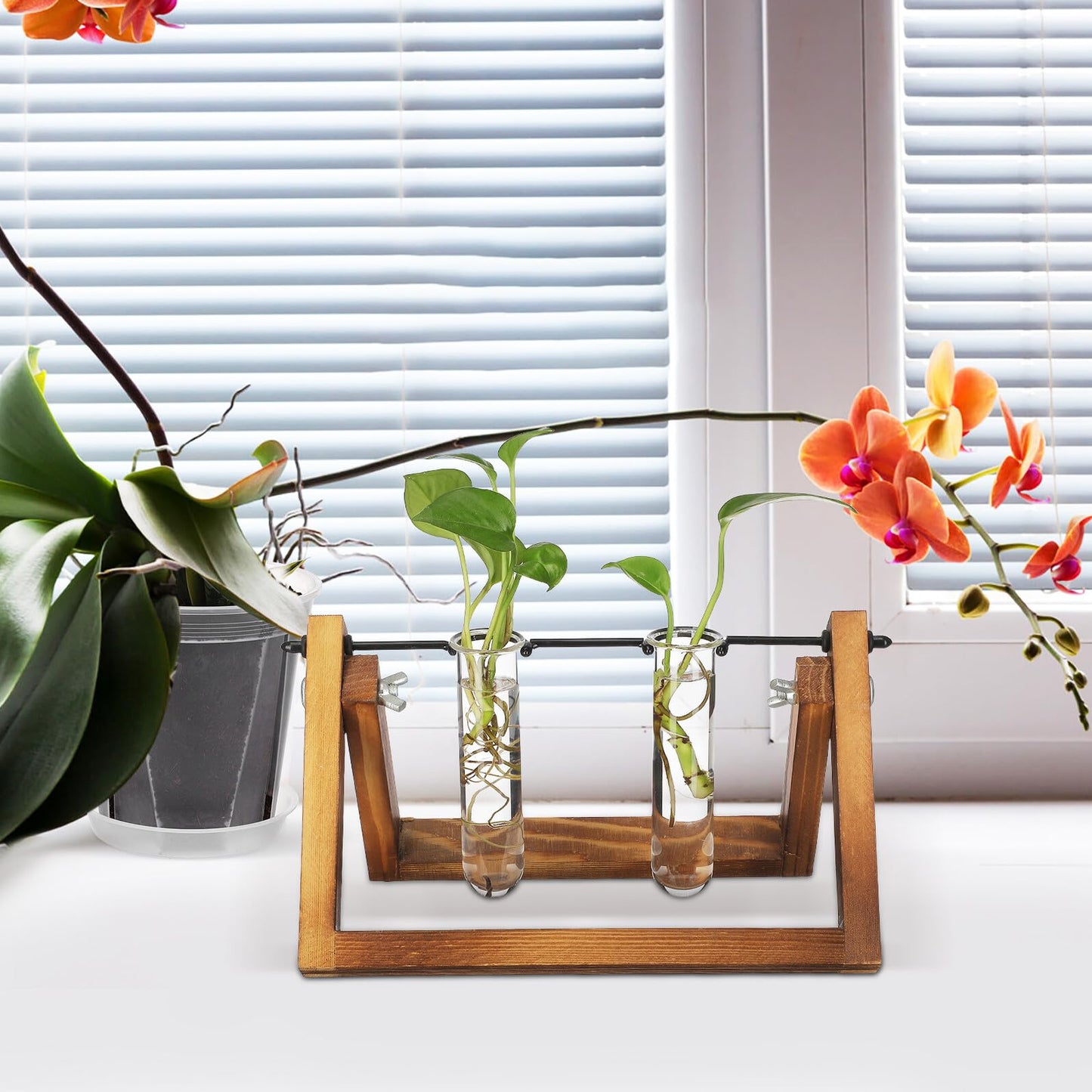 LIFKOME 5pcs Glass Test Tube Plant Vases 2.5x3x11cm Hydroponic Flower Tubes Propagation Station for Indoor Terrarium Gardening