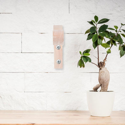 Beavorty 2pcs Wall Mounted Planter Hooks for Flower Pot Hanging Brackets, Indoor Outdoor Plant Hangers with Natural Wood Finish for Garden Lantern Wind Chime Decoration