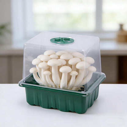 DECOHS 4 Pack Monotub Mushroom Grow Kit, 6.5" x 5" x 6.5" Small Mushroom Fruiting Chamber Propagation Boxes, Monotub Mushroom Growing Box Mini Greenhouse with Spray Bottle for Horticulture Supplies