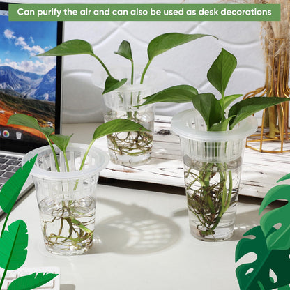 Baderke 35 Pcs Plastic Plant Propagation Station Desktop Terrariums Plant Tabletop Vase with Hydroponic Baskets for Indoor Home Office Desktop Decor (4.25'',4.57'',5.47'')