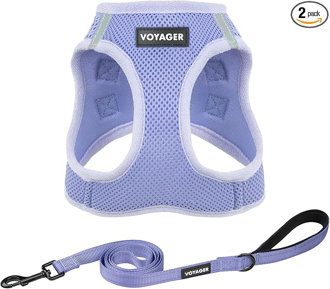 Best Pet Supplies Voyager Step-in Air All Weather Mesh Harness and Reflective Dog 5ft Leash Combo with Neoprene Handle, for Small, Medium and Large Breed Puppies - Lavender, S