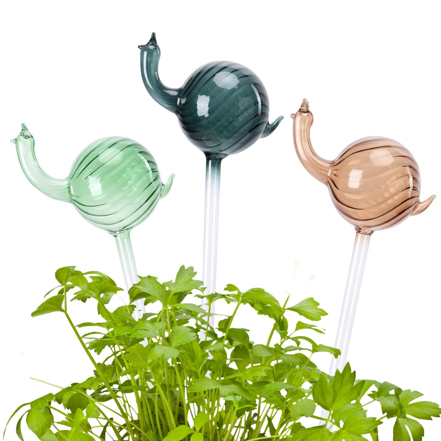 Chonsun Glass Plant Watering Globes 3PCS Plant Watering Devices Self Watering Planter Insert Automatic Plant Waterer Indoor Snail Decoration